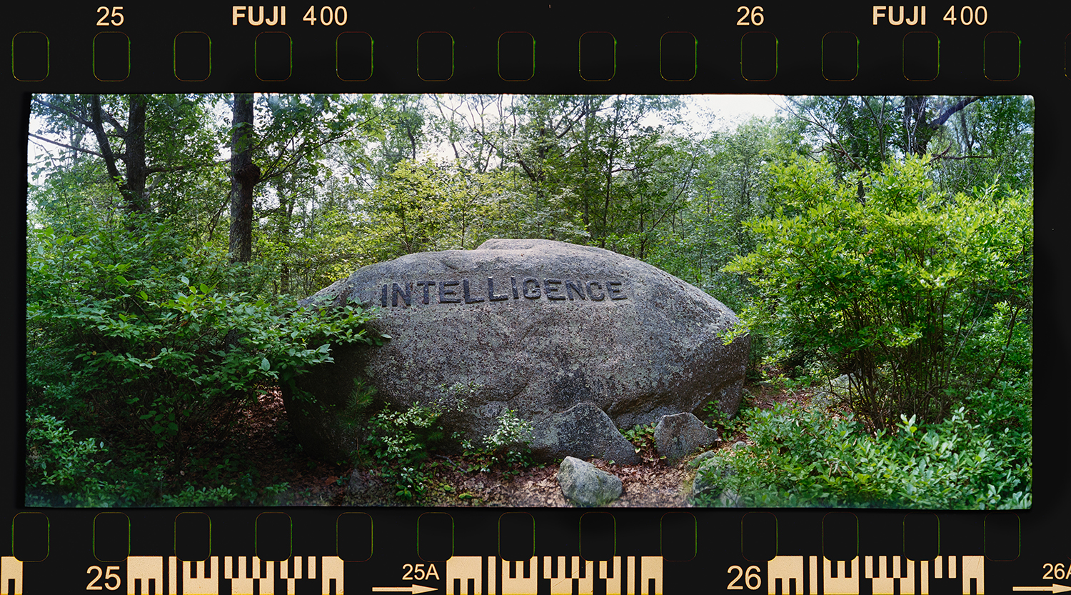 Dogwood Common artwork titled Intelligence from the Rocky Neck Artist Colony series by Chuck Davis.
