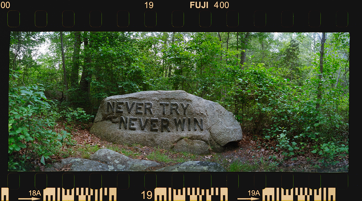 Dogwood Common artwork titled Never Try Never Win from the Rocky Neck Artist Colony series by Chuck Davis.